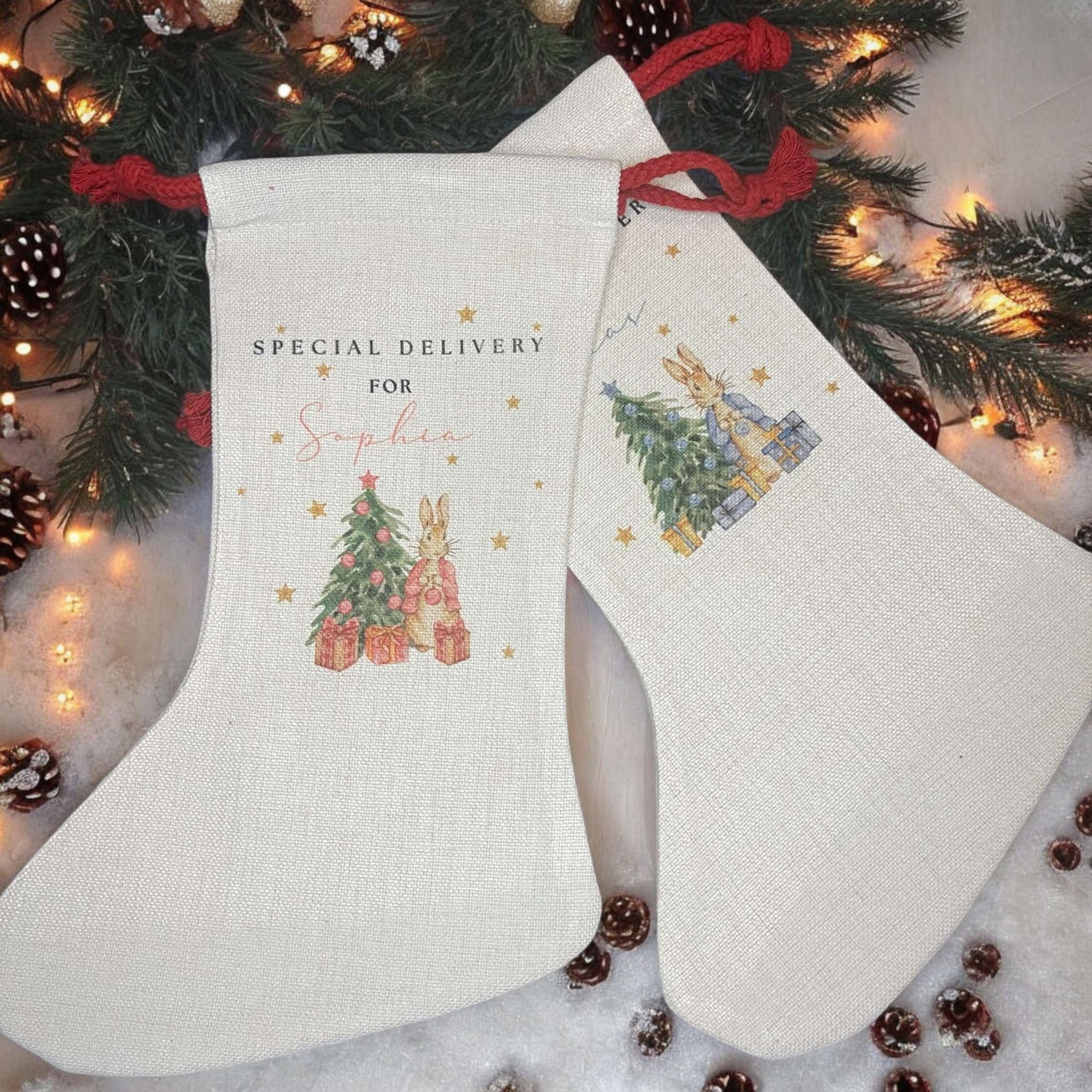 Peter Rabbit Christmas Stocking - Twin Flame Custom