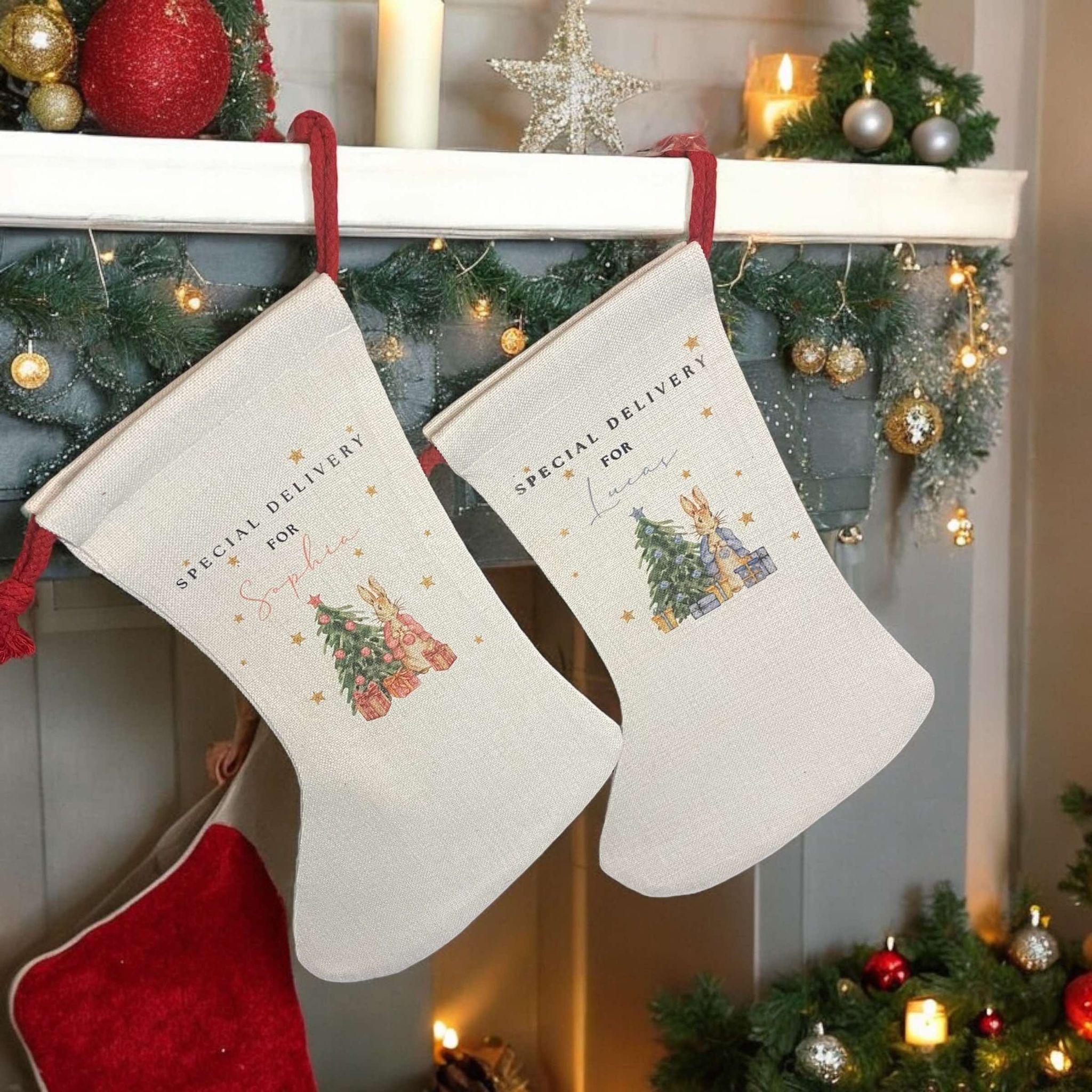 Peter Rabbit Christmas Stocking - Twin Flame Custom