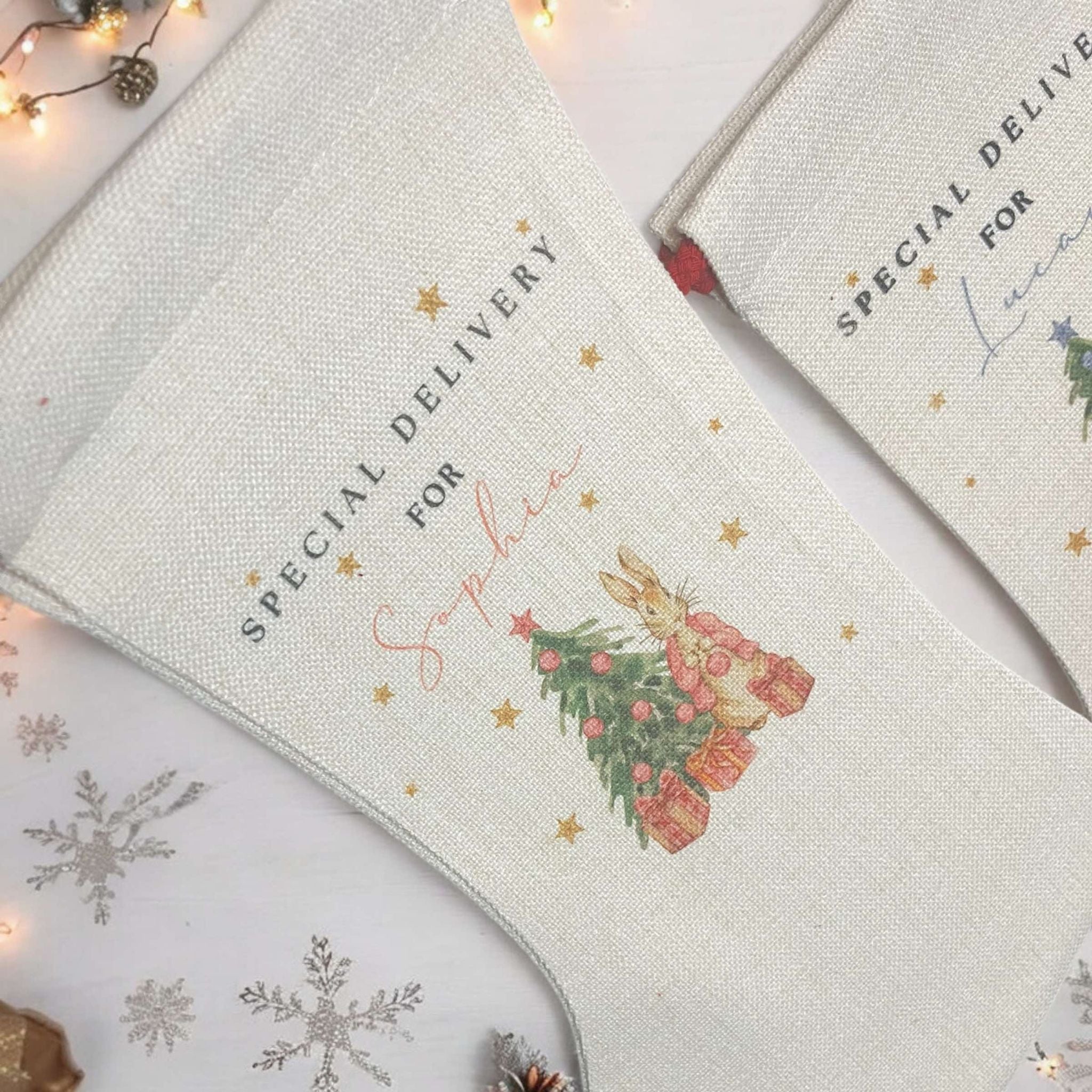Peter Rabbit Christmas Stocking - Twin Flame Custom